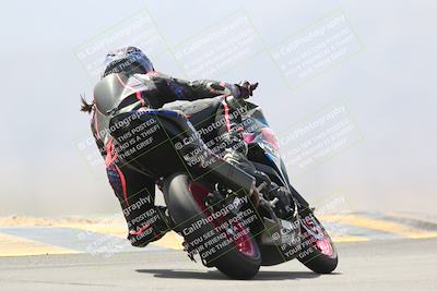 media/Apr-10-2022-SoCal Trackdays (Sun) [[f104b12566]]/Turn 9 Backside (1120am)/